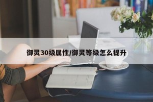御灵30级属性/御灵等级怎么提升