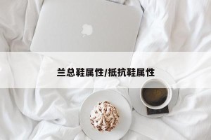 兰总鞋属性/抵抗鞋属性