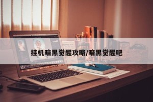 挂机暗黑觉醒攻略/暗黑觉醒吧